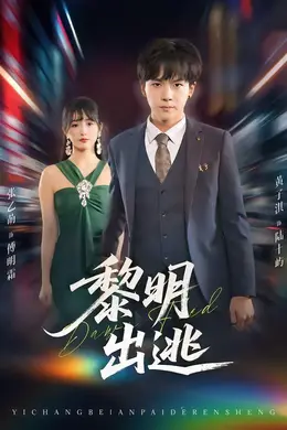 黎明出逃海报图片