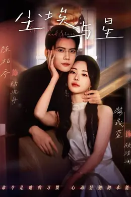 尘埃与星海报图片