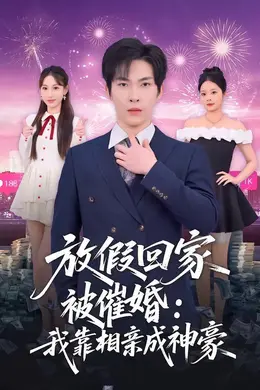 放假回家被催婚：我靠相亲成神豪海报图片