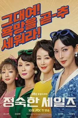 贞淑的推销封面图