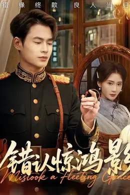 错认惊鸿影海报图片