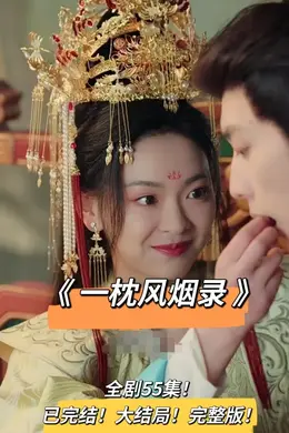 一枕风烟录海报图片