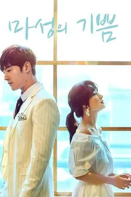 马成的喜悦封面图