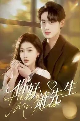 你好，萧先生海报图片