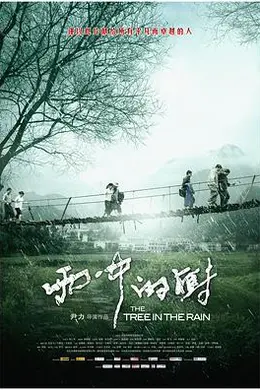 雨中的树封面图
