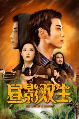 昼影双生海报图片