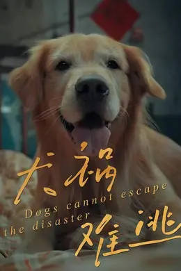 犬祸难逃封面图