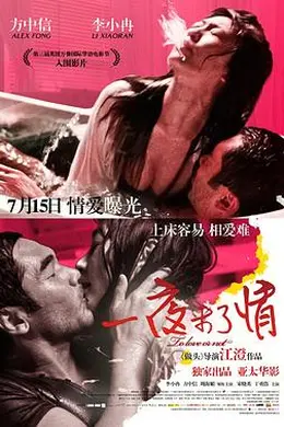 一夜未了情封面图