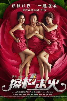 擦枪走火（2015）封面图