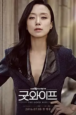 傲骨贤妻2016封面图