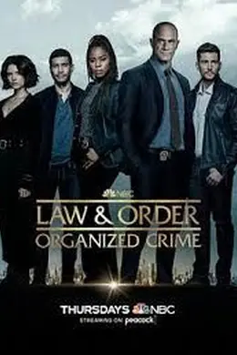 多伦多法律与秩序：犯罪倾向 第二季封面图