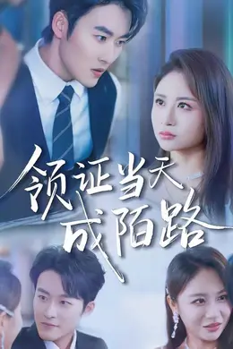 领证当天成陌路封面图