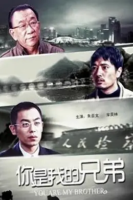 你是我的兄弟封面图