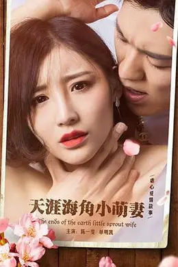 天涯海角小萌妻海报图片