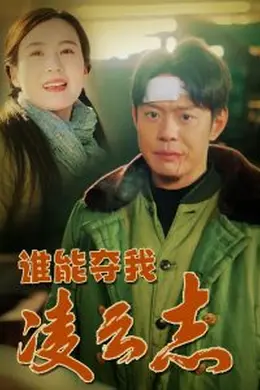 谁能夺我凌云志海报图片