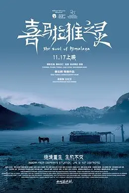 喜马拉雅之灵封面图
