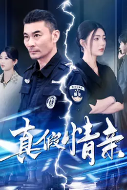 真假情亲海报图片