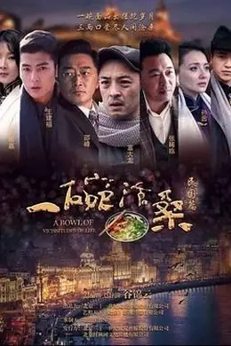 一碗沧桑封面图