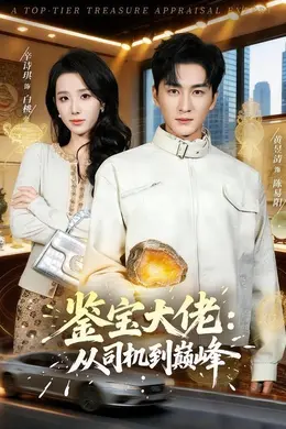 鉴宝大佬： 从司机到巅峰封面图