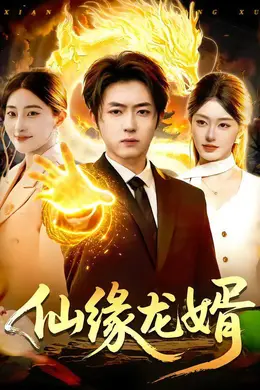 仙缘龙婿封面图