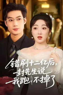 错刷十二亿后，封先生说我跑不掉了海报图片