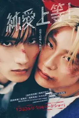 纯爱上等封面图