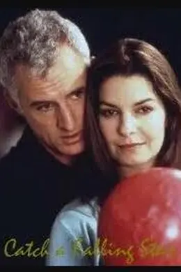 星尘情缘封面图