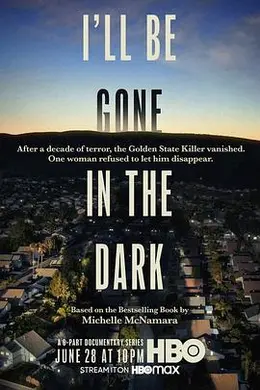 我将消失在黑暗中封面图