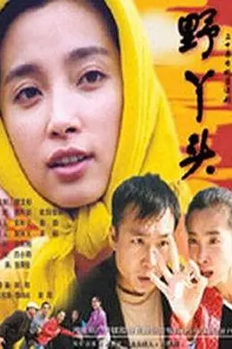 野丫头海报图片