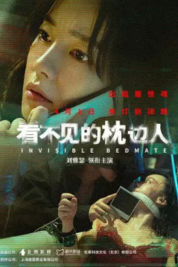 看不见的枕边人封面图