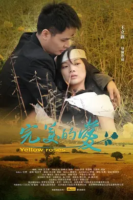 完美的爱封面图