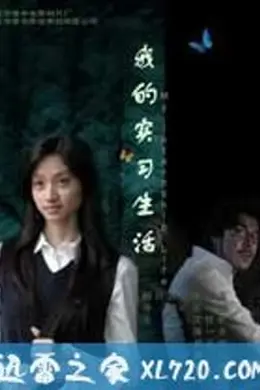 我的实习生活封面图