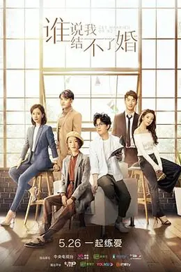 谁说我结不了婚封面图