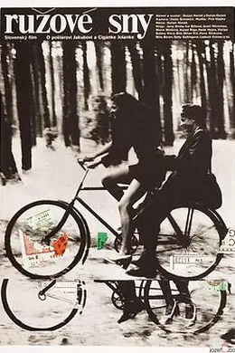 玫瑰色的梦封面图