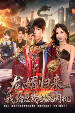 龙婿归来，我给总裁老婆当司机封面图