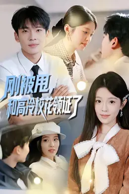 刚被甩，和高冷校花领证了海报图片