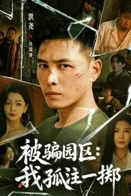 被骗园区：我孤注一掷 我被骗到缅北的那些年封面图
