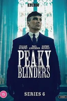 浴血黑帮 第六季封面图