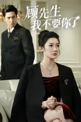 顾先生我不要你了封面图