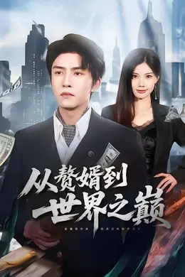 赘婿到世界之巅海报图片