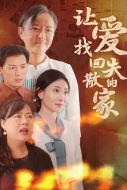 让爱找回失散的家海报图片