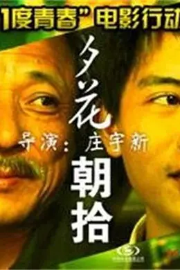 11度青春之《夕花朝拾》封面图