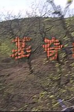 古墓奇缘封面图