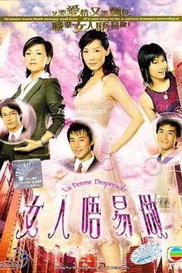 女人不易做国语海报图片