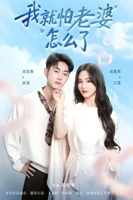 我就怕老婆怎么了封面图