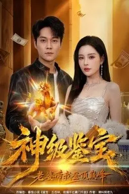 神级鉴宝，老婆带我登顶巅峰封面图