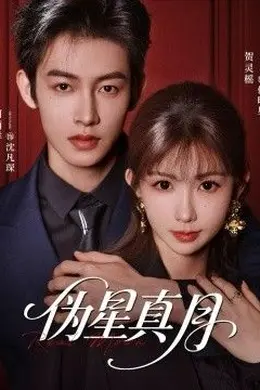 伪星真月海报图片