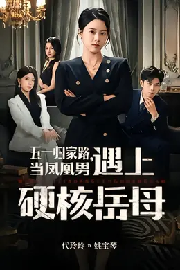 五一归家路，当凤凰男遇上硬核岳母海报图片