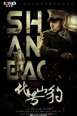 代号山豹封面图