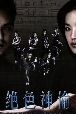 绝色神偷封面图